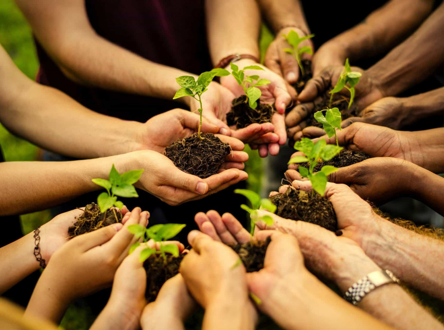 Projeto de educação ambiental remota para O CEF 27
