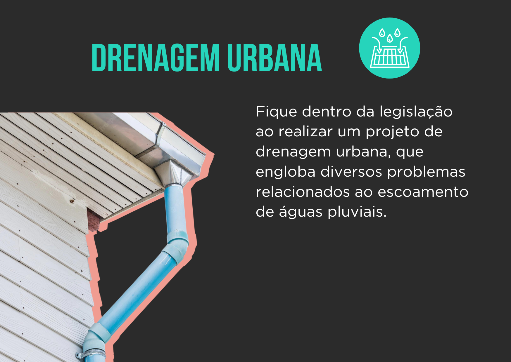 Vida Selvagem